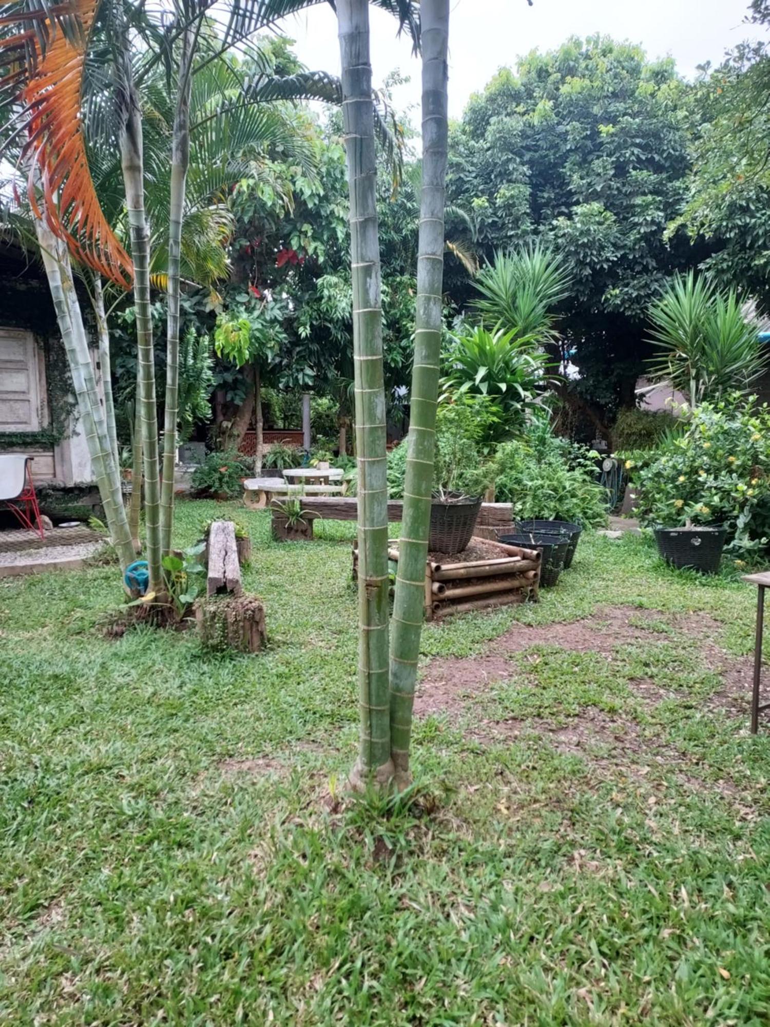 Kwanlah Homestay Mae Chaem Exterior foto