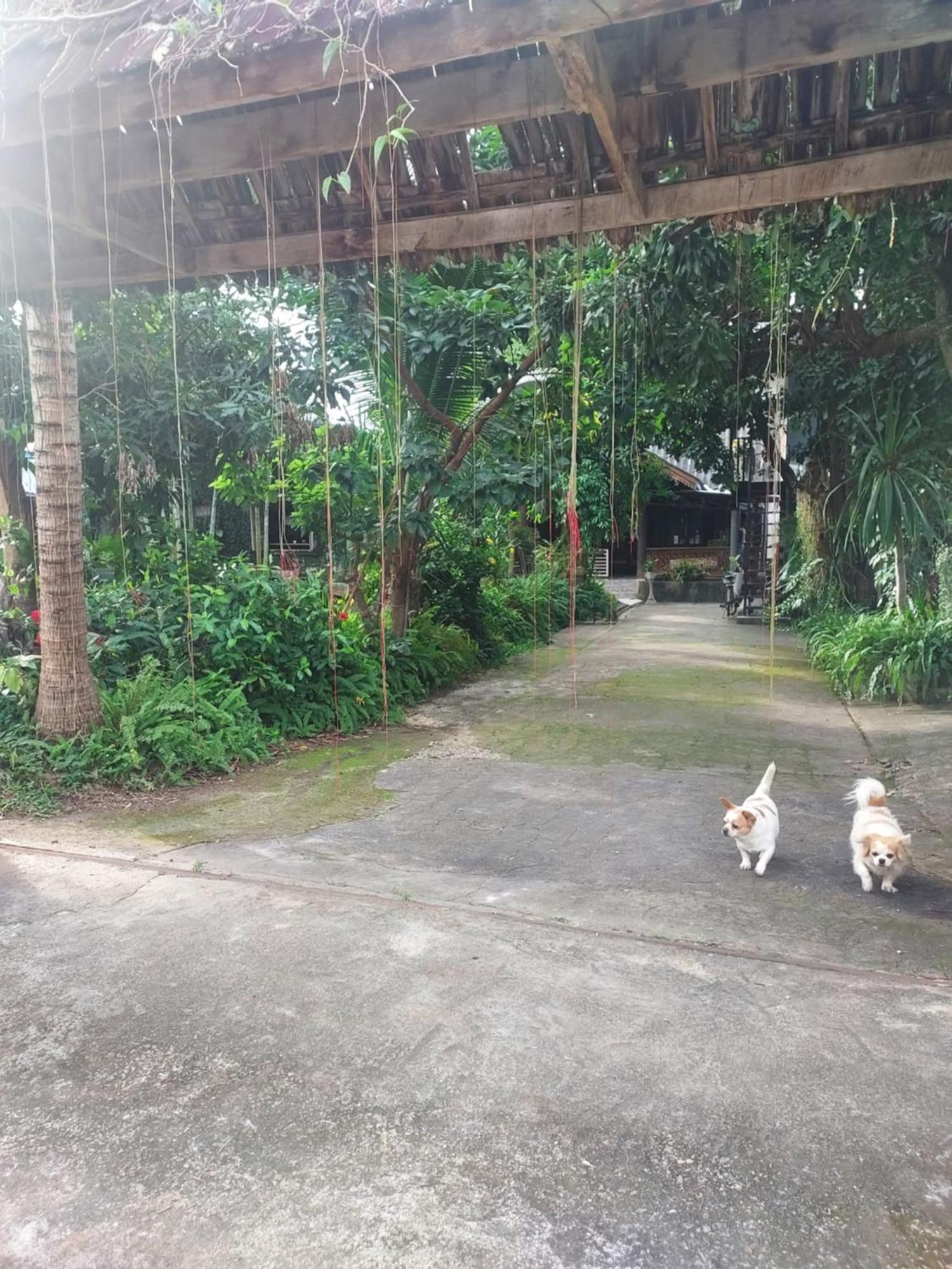 Kwanlah Homestay Mae Chaem Exterior foto